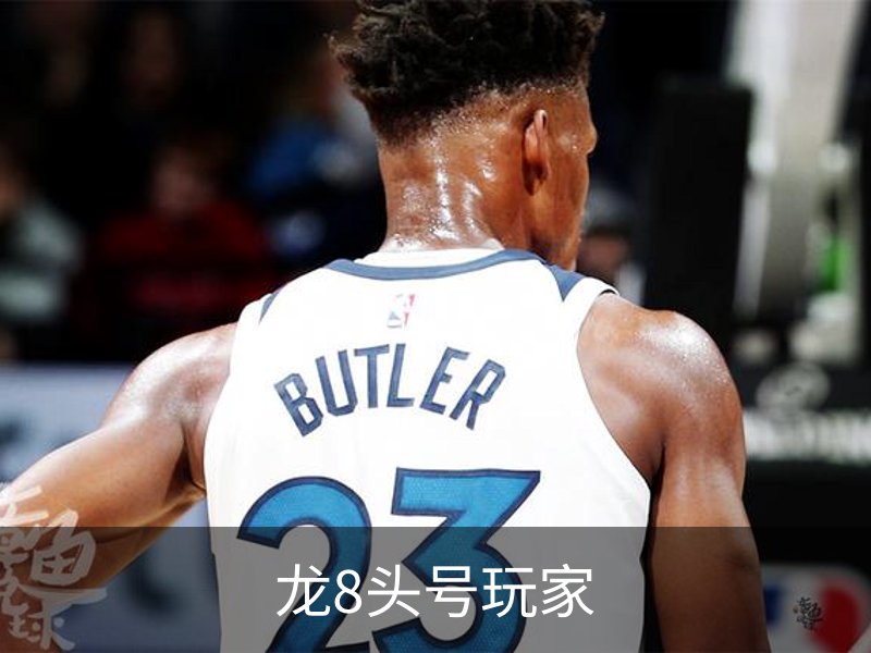 龙8头号玩家概况